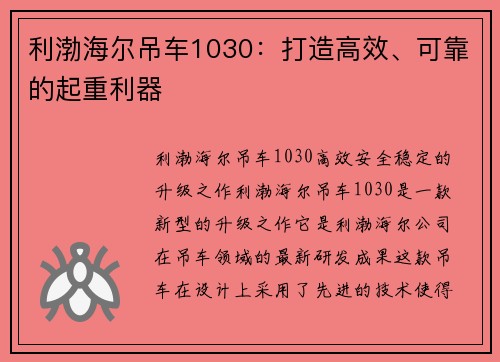利渤海尔吊车1030：打造高效、可靠的起重利器